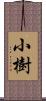 小樹 Scroll