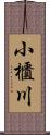 小櫃川 Scroll