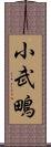 小武鴫 Scroll
