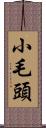 小毛頭 Scroll