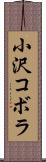 小沢コボラ Scroll