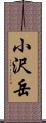小沢岳 Scroll