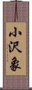 小沢象 Scroll