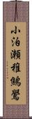 小泊瀬稚鷦鷽 Scroll