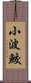 小波鮫 Scroll