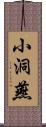 小洞燕 Scroll