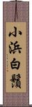 小浜白鬚 Scroll
