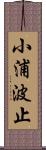 小浦波止 Scroll