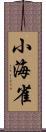 小海雀 Scroll