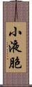 小液胞 Scroll