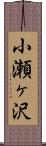 小瀬ヶ沢 Scroll
