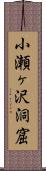 小瀬ヶ沢洞窟 Scroll