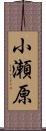 小瀬原 Scroll