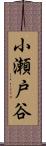 小瀬戸谷 Scroll