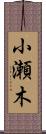 小瀬木 Scroll