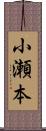 小瀬本 Scroll