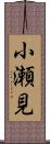 小瀬見 Scroll