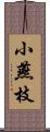 小燕枝 Scroll