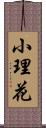 小理花 Scroll