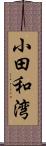 小田和湾 Scroll