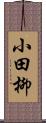 小田柳 Scroll