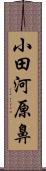 小田河原鼻 Scroll