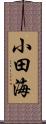 小田海 Scroll