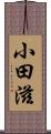 小田滋 Scroll