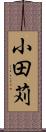 小田苅 Scroll