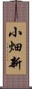 小畑新 Scroll