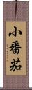 小番茄 Scroll