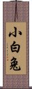 小白兔 Scroll