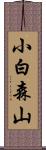小白森山 Scroll