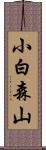 小白森山 Scroll