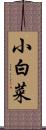 小白菜 Scroll