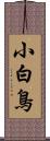 小白鳥 Scroll
