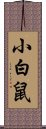 小白鼠 Scroll