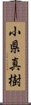 小県真樹 Scroll