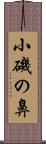 小磯の鼻 Scroll