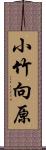 小竹向原 Scroll