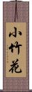 小竹花 Scroll