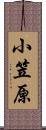 小笠原 Scroll