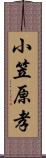 小笠原孝 Scroll