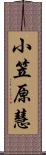 小笠原慧 Scroll