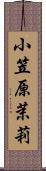 小笠原茉莉 Scroll