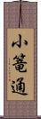 小篭通 Scroll