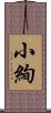 小絢 Scroll