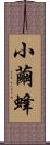 小繭蜂 Scroll