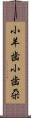 小羊歯 Scroll