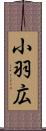 小羽広 Scroll